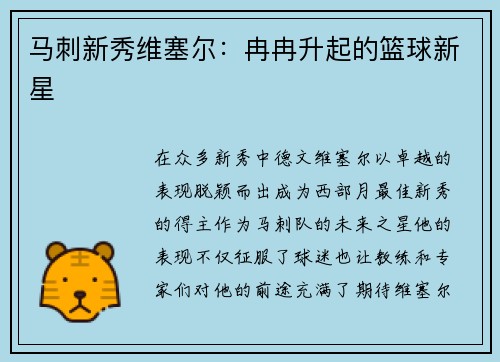 马刺新秀维塞尔：冉冉升起的篮球新星
